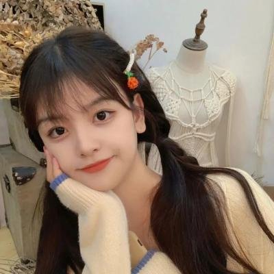 两个英国女孩与欧陆